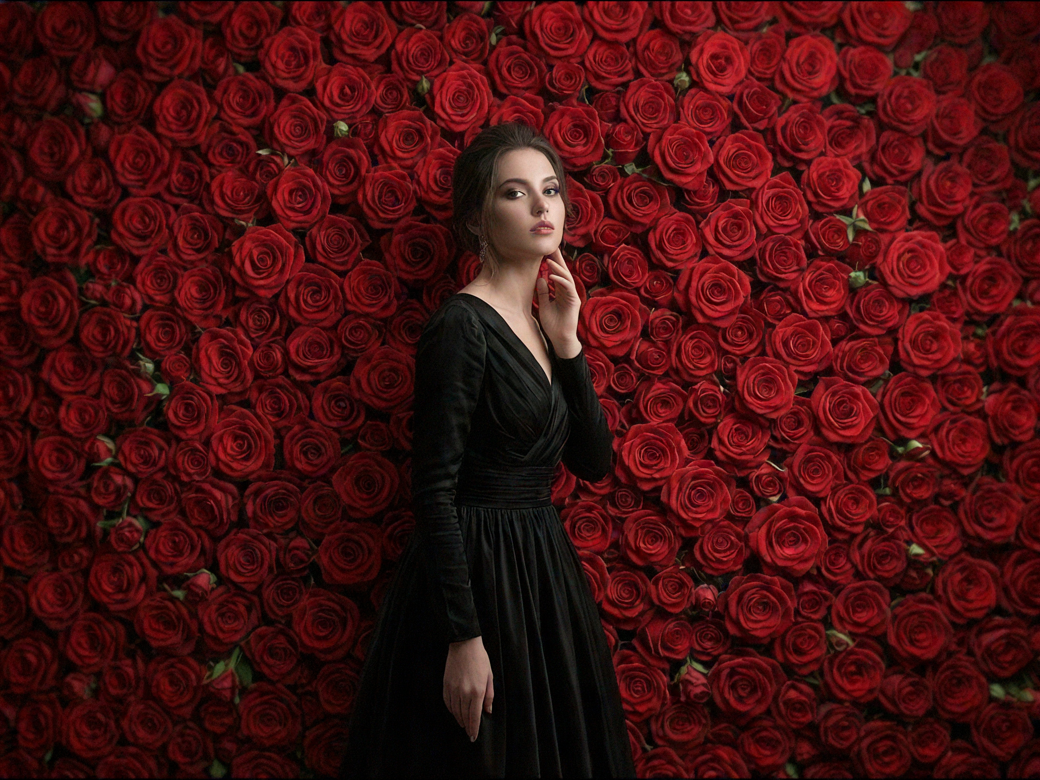 Novera Cartagena white cyclorama rose wall up